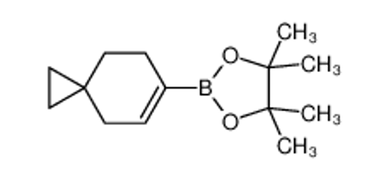 Picture of 4,4,5,5-tetramethyl-2-spiro[2.5]oct-6-en-6-yl-1,3,2-dioxaborolane