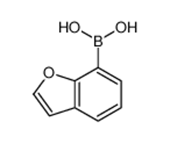 Изображение 1-benzofuran-7-ylboronic acid