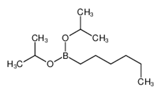 Picture of hexyl-di(propan-2-yloxy)borane