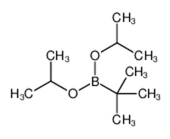 Picture of tert-butyl-di(propan-2-yloxy)borane