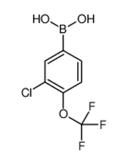 Picture of [3-chloro-4-(trifluoromethoxy)phenyl]boronic acid
