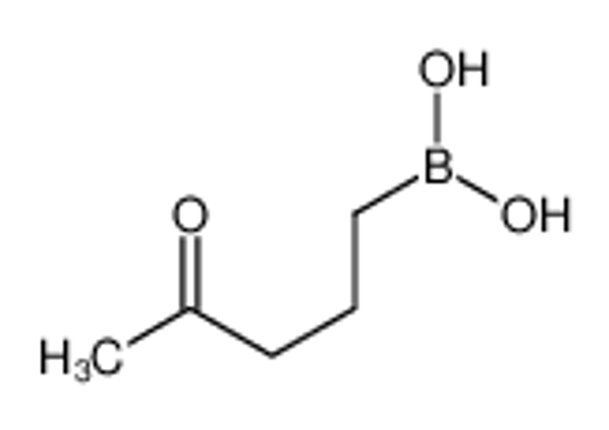 Picture of 4-oxopentylboronic acid
