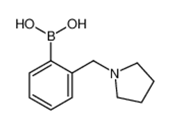 Picture of [2-(pyrrolidin-1-ylmethyl)phenyl]boronic acid