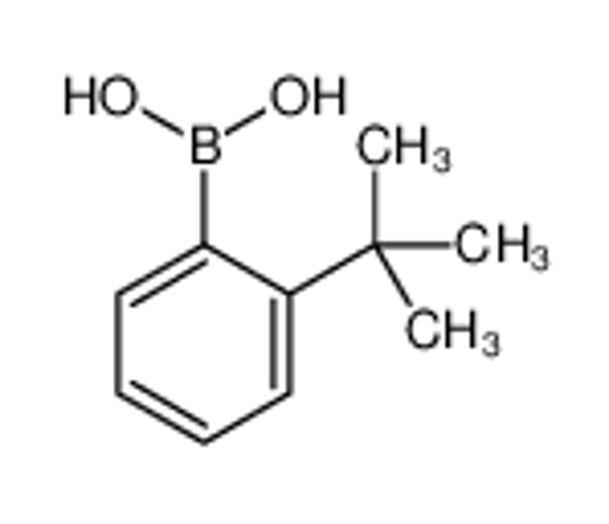 Picture of (2-tert-butylphenyl)boronic acid