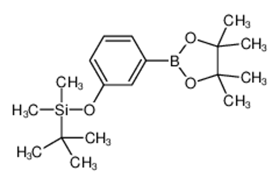 Picture of tert-butyl-dimethyl-[3-(4,4,5,5-tetramethyl-1,3,2-dioxaborolan-2-yl)phenoxy]silane