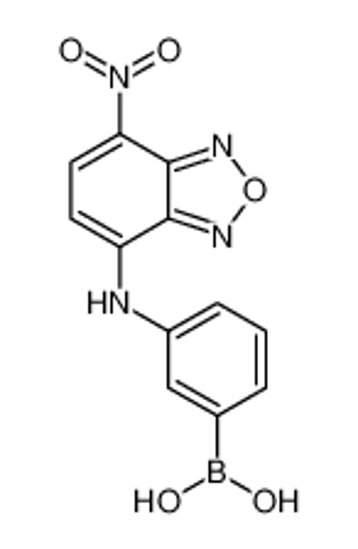 Изображение [3-[(4-nitro-2,1,3-benzoxadiazol-7-yl)amino]phenyl]boronic acid