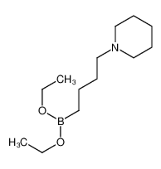 Picture of diethoxy(4-piperidin-1-ylbutyl)borane