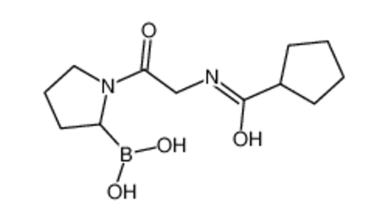 Picture of [1-[2-(cyclopentanecarbonylamino)acetyl]pyrrolidin-2-yl]boronic acid