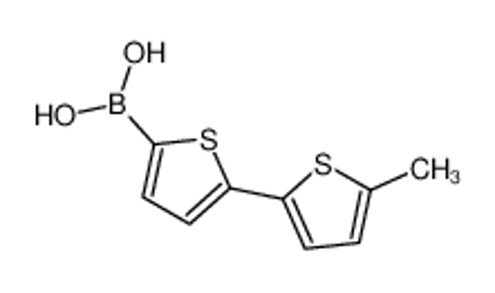 Imagem de [5-(5-methylthiophen-2-yl)thiophen-2-yl]boronic acid