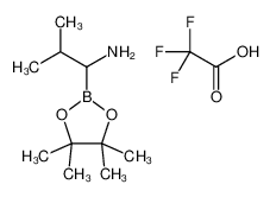 Picture of 2-methyl-1-(4,4,5,5-tetramethyl-1,3,2-dioxaborolan-2-yl)propan-1-amine,2,2,2-trifluoroacetic acid