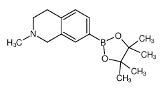 Picture of 2-methyl-7-(4,4,5,5-tetramethyl-1,3,2-dioxaborolan-2-yl)-3,4-dihydro-1H-isoquinoline
