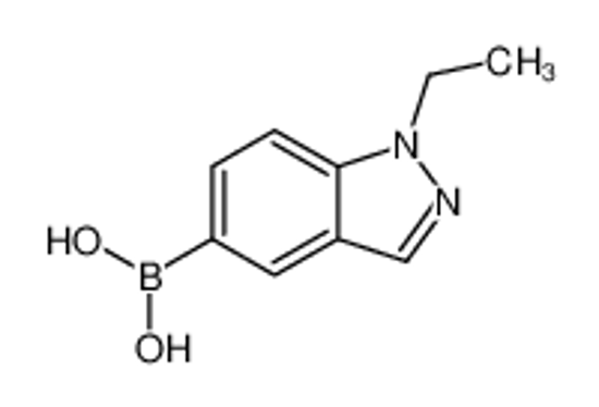 Imagem de (1-ethylindazol-5-yl)boronic acid