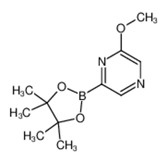 Изображение 2-methoxy-6-(4,4,5,5-tetramethyl-1,3,2-dioxaborolan-2-yl)pyrazine