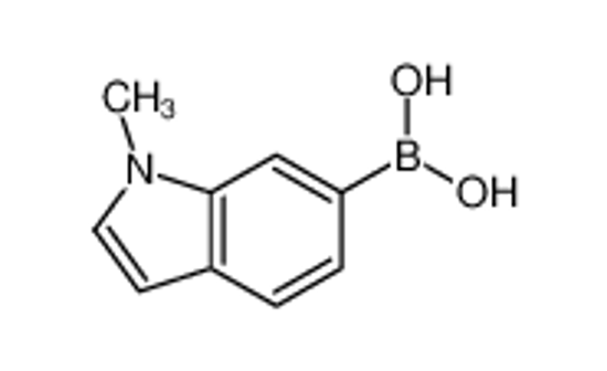 Picture of (1-methylindol-6-yl)boronic acid