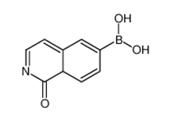 Picture of (1-oxo-8aH-isoquinolin-6-yl)boronic acid