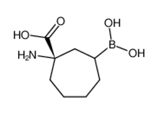 Picture of (1S)-1-amino-3-boronocycloheptane-1-carboxylic acid