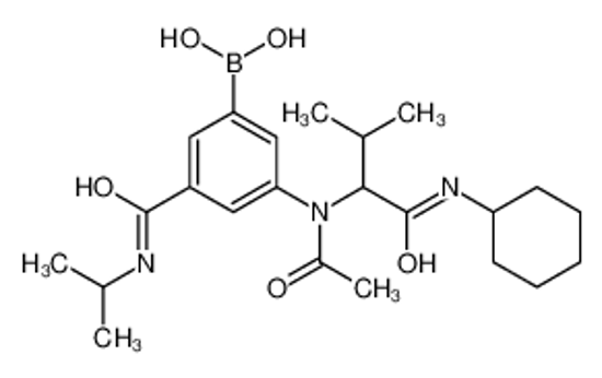 Picture of [3-[acetyl-[1-(cyclohexylamino)-3-methyl-1-oxobutan-2-yl]amino]-5-(propan-2-ylcarbamoyl)phenyl]boronic acid