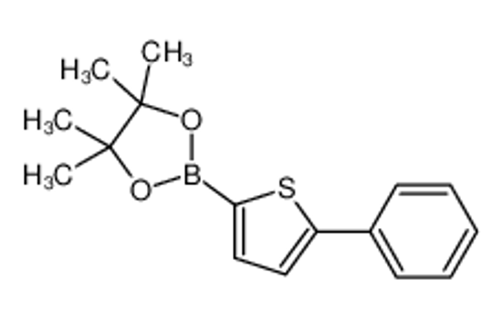 Imagem de 4,4,5,5-tetramethyl-2-(5-phenylthiophen-2-yl)-1,3,2-dioxaborolane