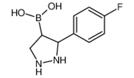 Изображение [3-(4-fluorophenyl)pyrazolidin-4-yl]boronic acid