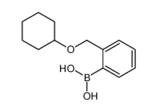 Picture of [2-(cyclohexyloxymethyl)phenyl]boronic acid