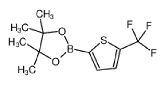 Imagem de 4,4,5,5-tetramethyl-2-[5-(trifluoromethyl)thiophen-2-yl]-1,3,2-dioxaborolane