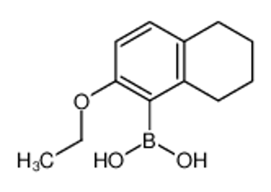 Picture of (2-ethoxy-5,6,7,8-tetrahydronaphthalen-1-yl)boronic acid
