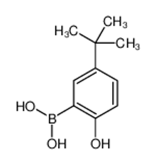 Изображение (5-tert-butyl-2-hydroxyphenyl)boronic acid