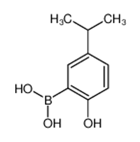 Picture of (2-hydroxy-5-propan-2-ylphenyl)boronic acid