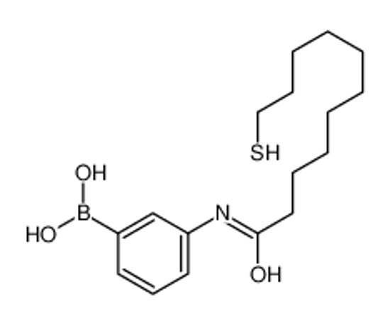 Imagem de [3-(11-sulfanylundecanoylamino)phenyl]boronic acid