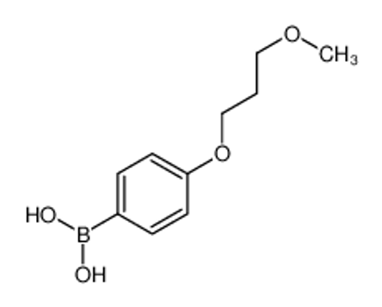 Изображение [4-(3-methoxypropoxy)phenyl]boronic acid