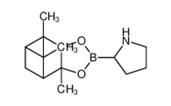 Picture of (1S,2S,3R,5S)-pinane-2,3-diyl (N-(1,1-dimethylethoxycarbonyl)pyrrolidin-2-yl)boronate