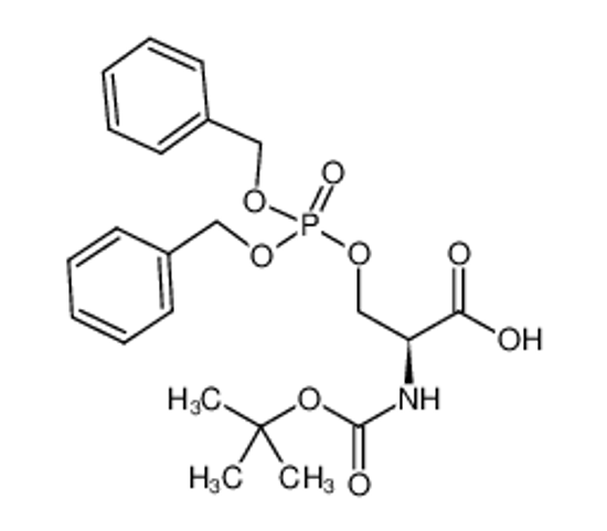 Picture of (2S)-3-bis(phenylmethoxy)phosphoryloxy-2-[(2-methylpropan-2-yl)oxycarbonylamino]propanoic acid