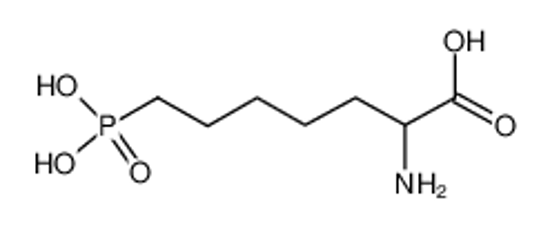 Picture of DL-AP7,DL-2-Amino-7-phosphonoheptanoicacid