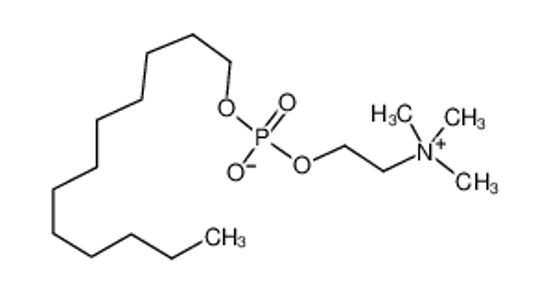 Imagem de DODECYL PHOSPHOCHOLINE