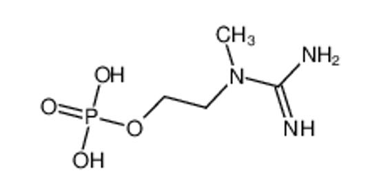 Picture of 2-[carbamimidoyl(methyl)amino]ethyl dihydrogen phosphate