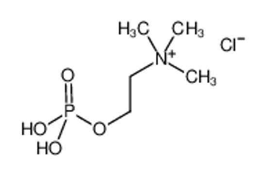 Picture of phosphocholine