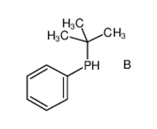 Picture of boron,tert-butyl(phenyl)phosphane
