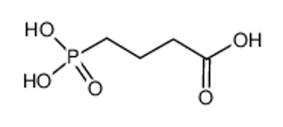 Picture of 4-phosphonobutanoic acid