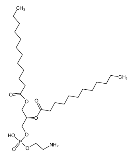 Picture of 1,2-DILAUROYL-SN-GLYCERO-3-PHOSPHOETHANOLAMINE