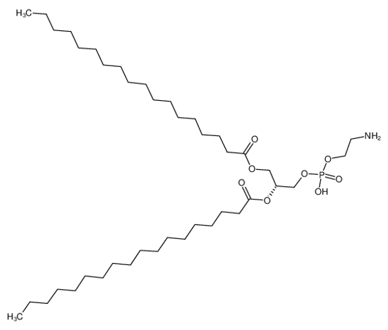 Изображение (R)-1,2-distearoylphosphatidylethanolamine