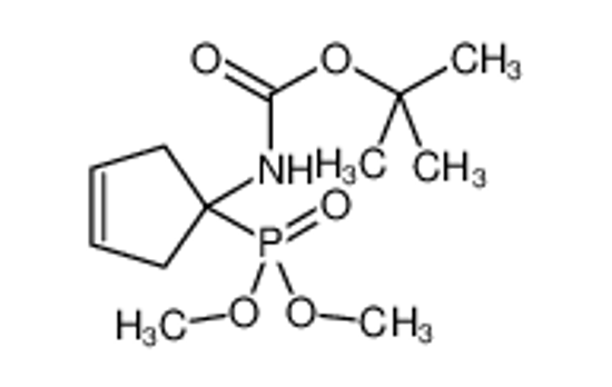 Picture of CARBAMIC ACID, [1-(DIMETHOXYPHOSPHINYL)-3-CYCLOPENTEN-1-YL]-, 1,1-DIMETHYLETHYL ESTER