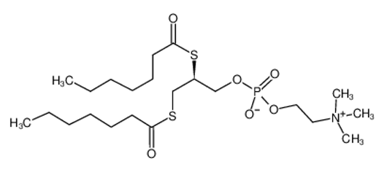 Picture of [(2S)-2,3-bis(heptanoylsulfanyl)propyl] 2-(trimethylazaniumyl)ethyl phosphate