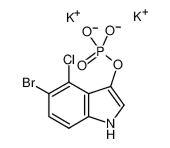 Picture of 5-Bromo-4-chloro-3-indolyl phosphate dipotassium salt