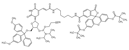 Imagem de FLUORESCEIN-DT CEP