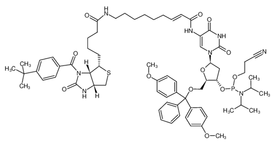 Picture of 5-[E-2-[N-[N-[N1-(4-T-BUTYLBENZOYL)-D-(+)-BIOTINYL]-6-AMINOHEXYL]CARBOXAMIDO]VINYL]-5'-O-(4,4'-DIMETHOXYTRITYL)-2'-DEOXYURIDINE, 3'-[(2-CYANOETHYL)-(N,N-DIISOPROPYL)]PHOSPHORAMIDITE