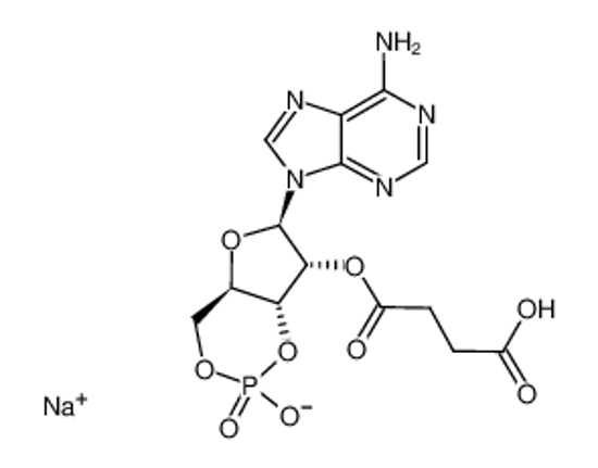 Picture of 2'-O-MONOSUCCINYLADENOSINE-3',5'-CYCLIC MONOPHOSPHATE SODIUM SALT