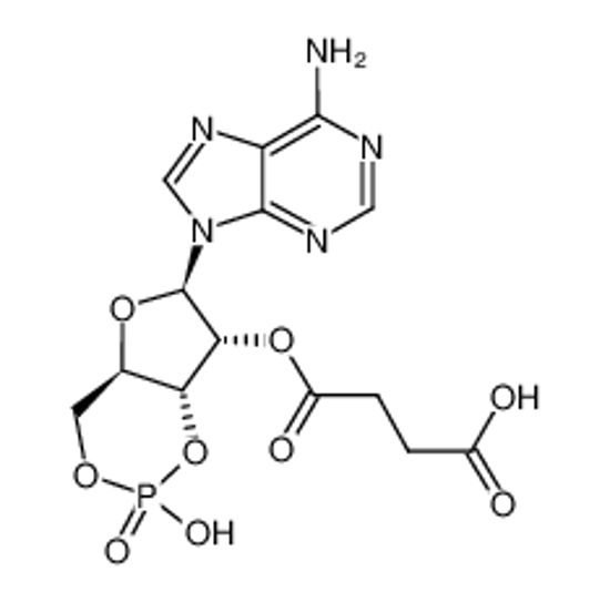 Picture of 2'-O-MONOSUCCINYLADENOSINE 3':5'-CYCLIC MONOPHOSPHATE