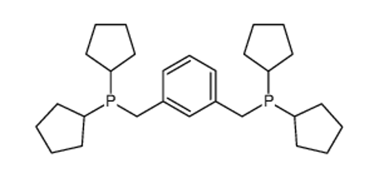 Picture of dicyclopentyl-[[3-(dicyclopentylphosphanylmethyl)phenyl]methyl]phosphane