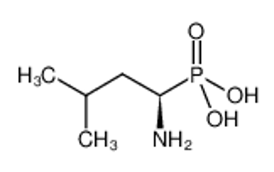 Picture of [(1R)-1-amino-3-methylbutyl]phosphonic acid