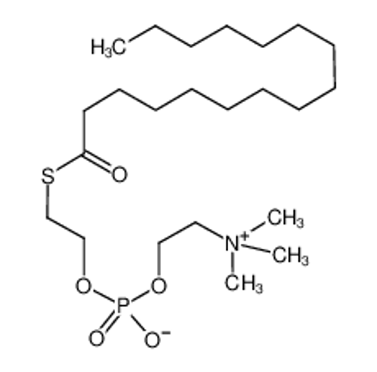 Picture of 2-hexadecanoylsulfanylethyl 2-(trimethylazaniumyl)ethyl phosphate